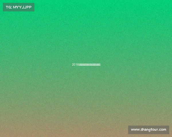 2016年红土赛事冠军—红土大师赛球速