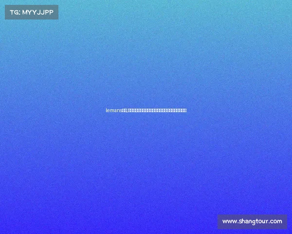 lemans赛事,勒芒二十四小时耐力赛速度激情与团队荣耀的终极考验