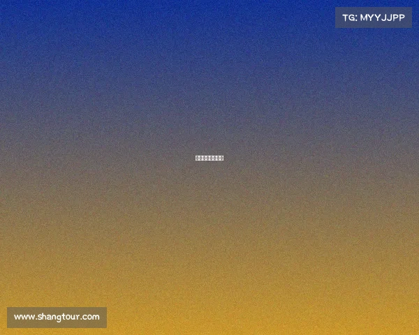 体育赛事申办报告