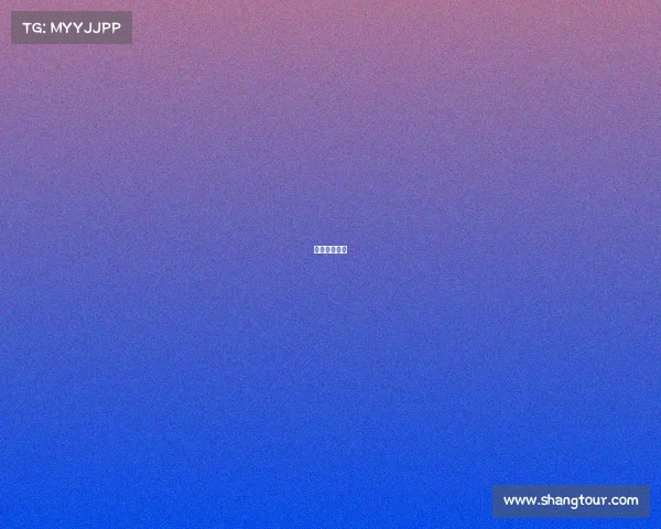 竞猜投注网站 竞猜投注网站