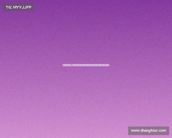 英超赛事查询,全面查询英超赛事涵盖最新赛程比分球队动态尽享精彩时刻